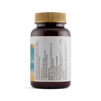Oregano Organic Oil 60C